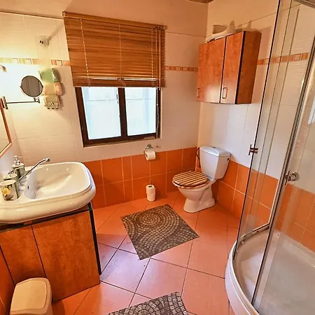 Ferienhaus U Kostela Pro 9 *